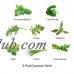 9-Pod Gourmet Herbs   565846565